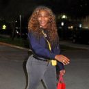Serena Williams – Left the Miami Beach restaurant - 454 x 675
