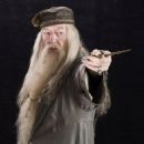 Harry Potter and the Half-Blood Prince - Michael Gambon - 454 x 606