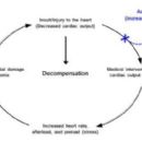 Cardiac procedures
