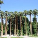 Parks in Greece