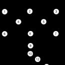 Rugby union positions