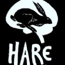 Harebrained Schemes