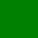 Box Green Disc - Adam Forkner