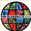 The Bluebells albums