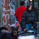 Emily Ratajkowski – Arriving back home with her dog after shopping run in Manhattan