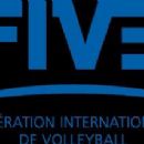 Volleyball organisations