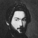 Ion Negulici