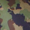 Military equipment of Switzerland