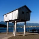 LightShed
