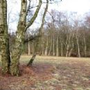 Ashridge