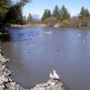 Roberts Lake