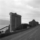 Norwegian companies established in 1904
