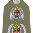 Tanzania Police Academy alumni