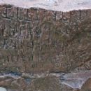 Languages extinct in the 8th century