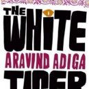 2008 Indian novels