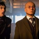 Gotham (2014)