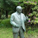 John McLaren (horticulturist)