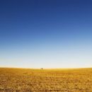 Great plains