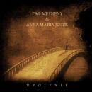 Albums by Polish artists