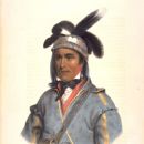 Native Americans of the Seminole Wars
