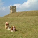 Forts in Worcestershire