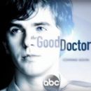 The Good Doctor (2017) - 454 x 263