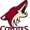 Phoenix Coyotes