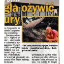Laura Dern - Zycie na goraco Magazine Pictorial [Poland] (7 November 2024) - 454 x 1164