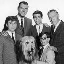 Don Grady - 240 x 320