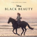 Black Beauty (2020) - 454 x 568