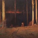 19th-century wildfires