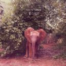 Songs about elephants