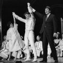 Bye Bye Birdie 1960 Broadway Cast Starring Dick Van Dyke - 454 x 355