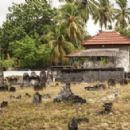 Cemeteries in the Maldives