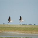 Protected areas of Botswana