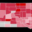South Dakota elections, 1920