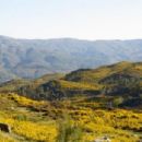Biosphere reserves of Portugal