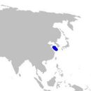 Taxa named by Deng Si-Ming