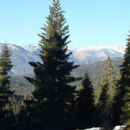 National forests