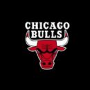 Chicago Bulls players