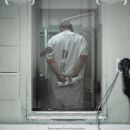 Capital punishment in the United States by state
