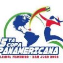 Volleyball competitions in Puerto Rico