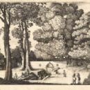 Springs (hydrology)