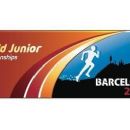 2012 in Spanish sport