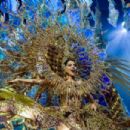 Corina Mrazek- Reina del Carnaval de Santa Cruz de Tenerife 2024- Selection Night - 454 x 303
