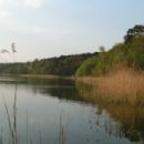 National parks of Poland