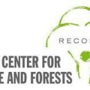 Forest governance