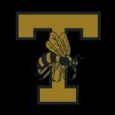 1939 Georgia Tech Yellow Jackets football team