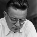 Kazimierz Plater