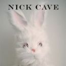 Books by Nick Cave